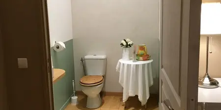 WC Merlin