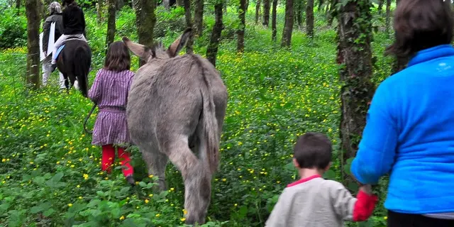domaine de Kernanou - activités équestres - Ploërmel - Brocéliande – Bretagne