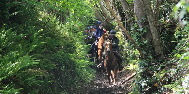 sentier équestre