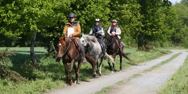 randonnée à cheval