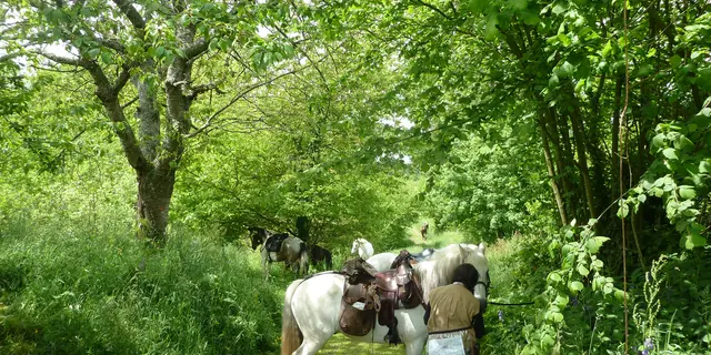 randonnée à cheval
