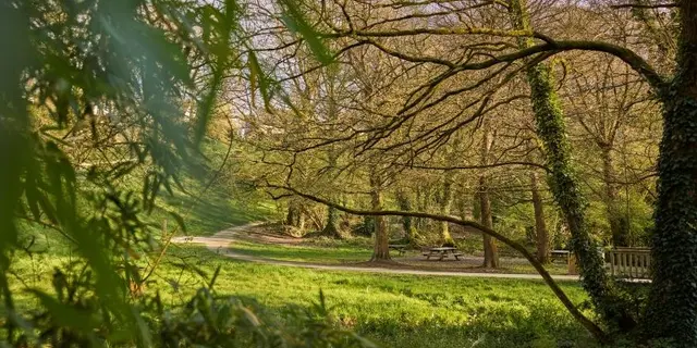 Bois -  amour - Josselin - Destination - Brocéliande