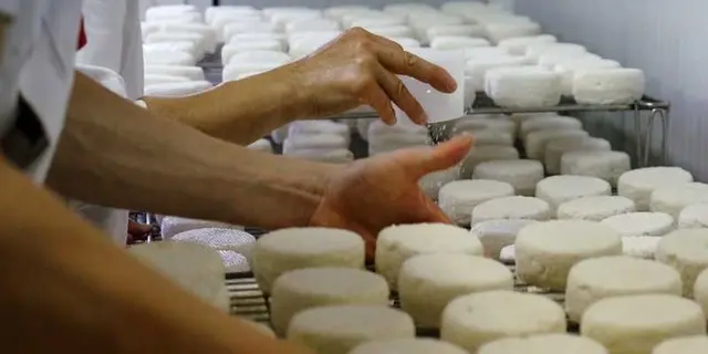 fromagerie - chèvres - Campénéac - Brocéliande