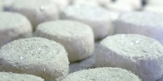 fromagerie - chèvres - Campénéac - Brocéliande