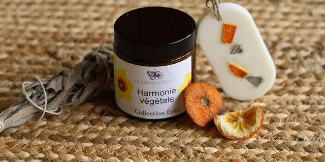 bougie_artisanat_fleur-et-papillon_stbrieucdemauron_DestinationBroceliande