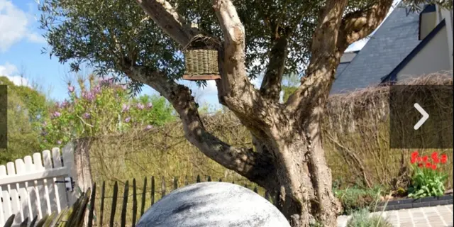 boule et coques