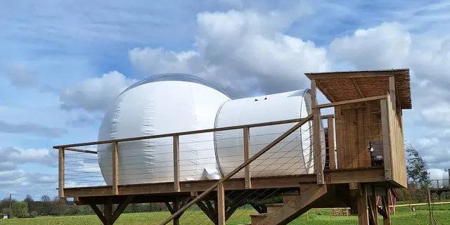 Les insolites de Sophie