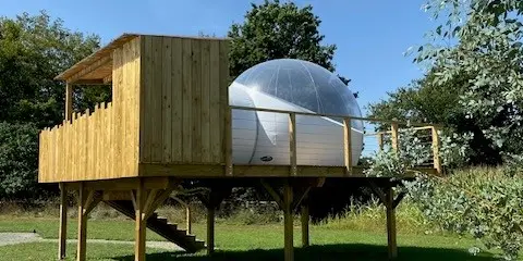 Les insolites de Sophie - Bulle