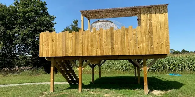 Les insolites de Sophie - Bulle