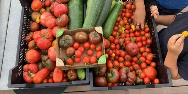 jardin-eden_permaculture_jardin-foret_Concoret_DestinationBroceliande