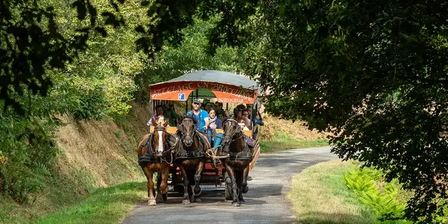 Calèche_de_Brocéliande_balade_contes_Tréhorenteuc_DestinationBrocéliande