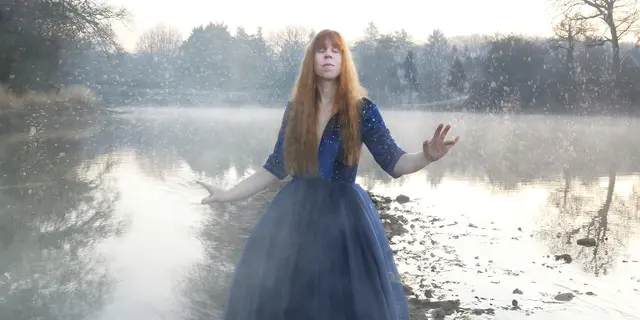 cecile corbel neige copy