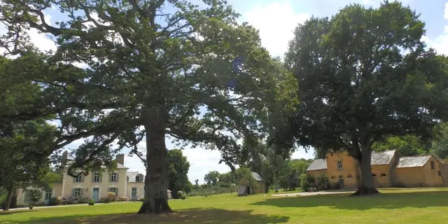 Chateau du Pin