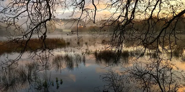 chateau de Loyat - parc - Morbihan - Brocéliande