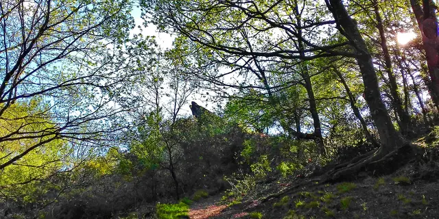 Chambre au Loup