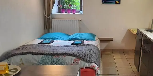 Studio - Les Floralis - La Grée St Laurent - Brocéliande - Bretagne
