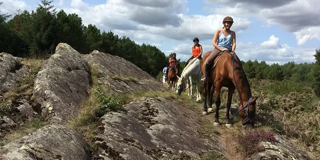 Chevaux_de_Brocéliande_centre_équestre_Tréhorenteuc