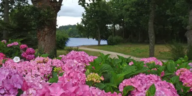 circuit des hortensias - ploermel - brocéliande - bretagne