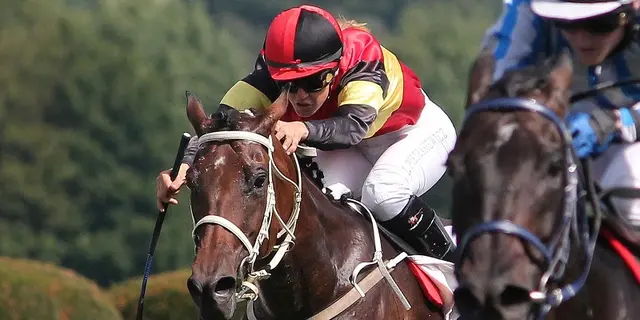 courses-hippiques-2-2