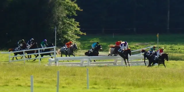 courses hippiques - Ploërmel - Brocéliande
