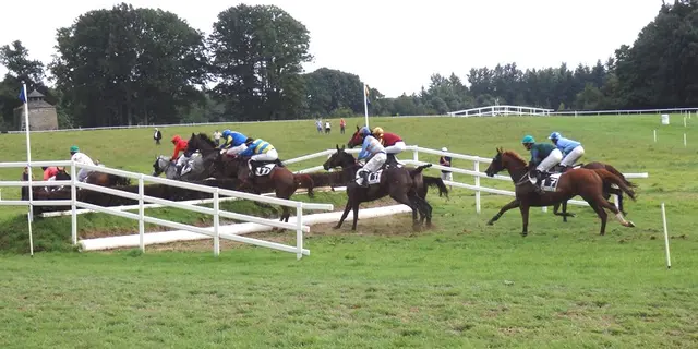 courses hippiques - Ploërmel - Brocéliande