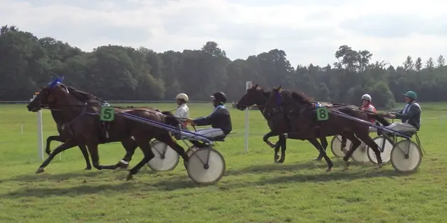 courses hippiques - ploermel - Brocéliande