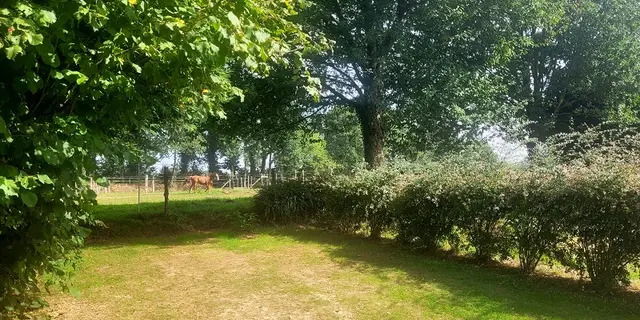 Camping - Cerisiers - Guillac - Josselin - Brocéliande - Morbihan - Bretagne