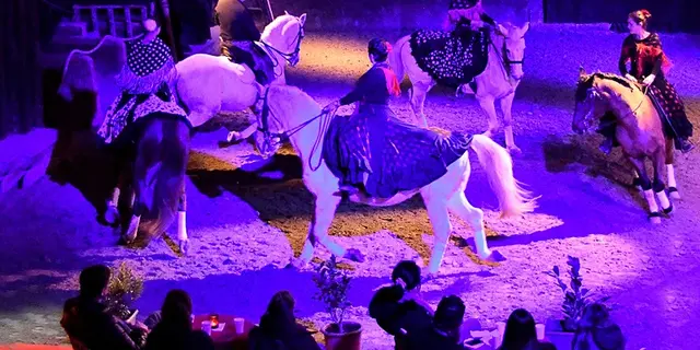 Cabaret équestre Les chevaux dansent à la bodega
