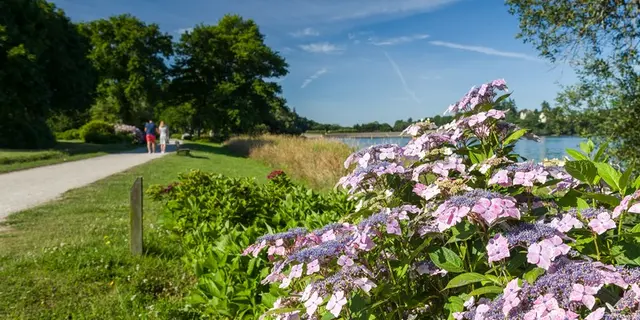 Circuit des Hortensias