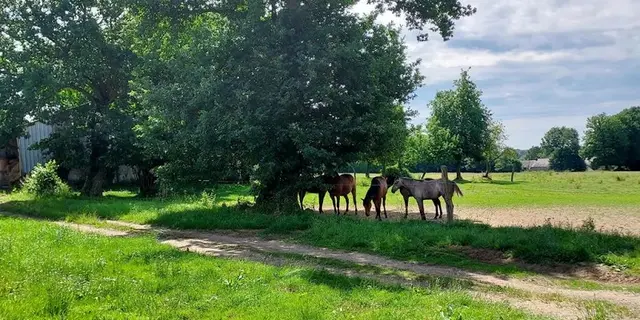 Gîte - Bonheur - Pré - Helléan - Brocéliande - Morbihan - Bretagne