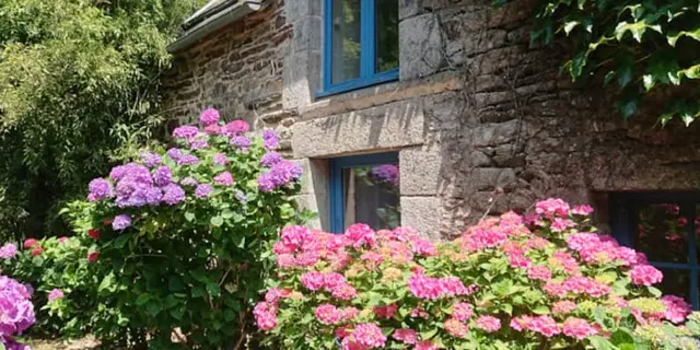 Studio - Les Floralis - La Grée St Laurent - Brocéliande - Bretagne