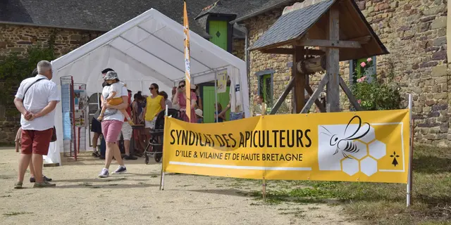 Extraction du miel, Apiculteurs Ille-et-Vilaine