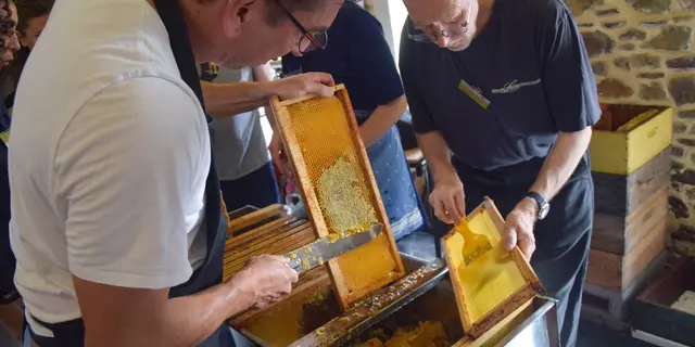 Extraction du miel, Apiculteurs Ille-et-Vilaine