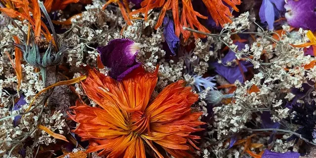 production fleurs aromatiques - médicinales - sirops - tisanes - Campénéac