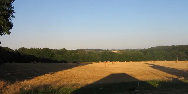 gîte vue Est