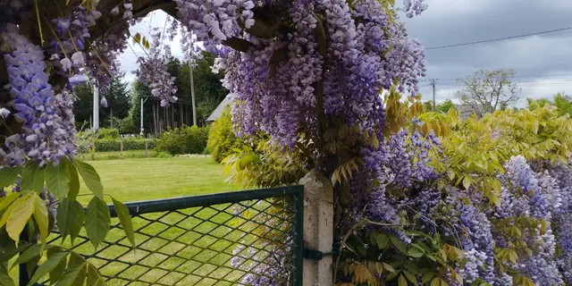 Entrée jardin