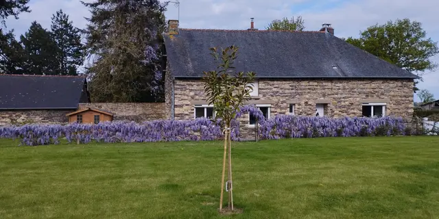 Maison côté jardin