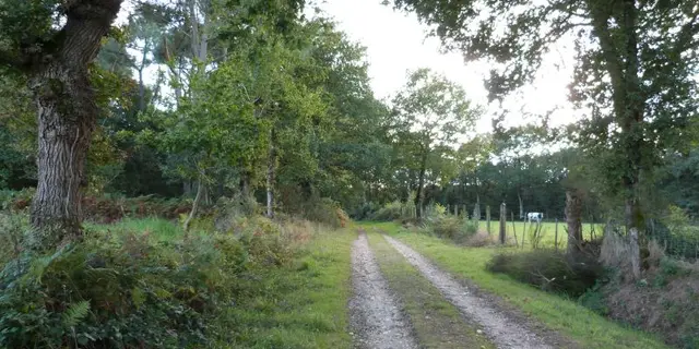 hautiere_Bréal
