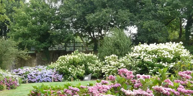 Circuit des hortensias - lac au Duc - parc - Ploërmel - Morbihan - Bretagne