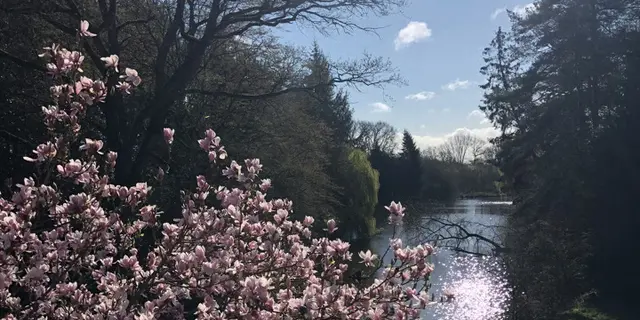 Chambres d'hôtes les coulisses de la nature (2)