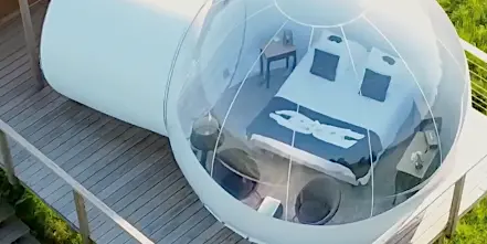 bulle - les insolites de sophie