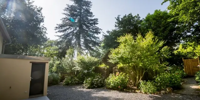 Gîte-Les-Hortensias-du-haut-bois-Taupont-Brocéliande-Morbihan-Bretagne