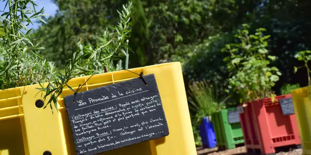 jardin du curé