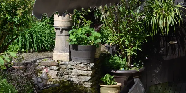 Chambre d'hôtes-Maison de l'oiseau-Josselin-Brocéliande-Bretagne