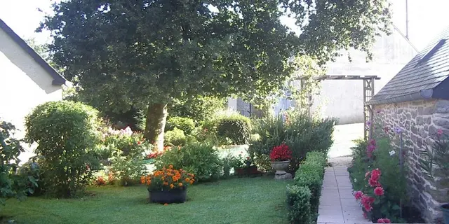 Gîte - Oiseaux - Cruguel - Josselin - Brocéliande - Bretagne