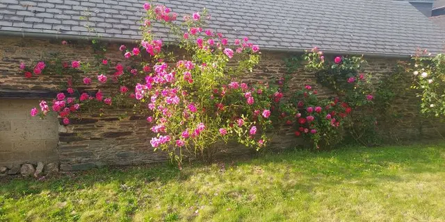 Gîte - Villa - Armel - Ploërmel - Brocéliande - Morbihan - Bretagne