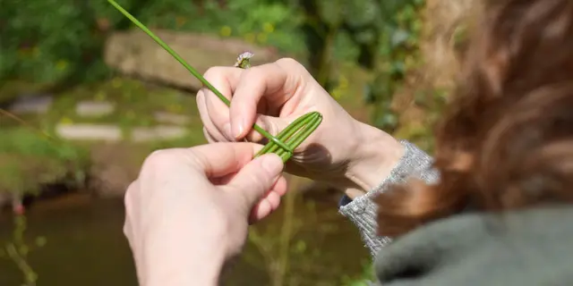 atelier Jouets buissonniers