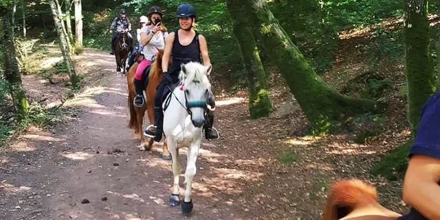 randonnées équestres - Brocéliande - Loyat