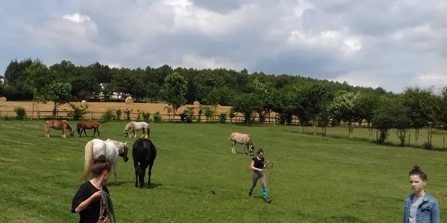 les-chevaux-du-vent-la-claie-des-landes