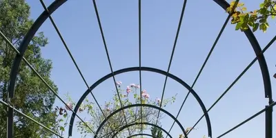 Jardins - La Peignie - Ménéac - Porhoët - Morbihan - Bretagne